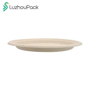 LuzhouPack Plats personnalisés de 9 pouces Assiettes en papier Assiettes biodégradables Assiettes jetables à bagasse de canne à sucre