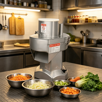 Coupe-légumes électrique, trancheuse, hachoir, râpe - Tension universelle 100-240V 200W, robot culinaire commercial