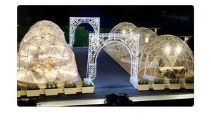 <span class=keywords><strong>3</strong></span> - 12 شخص الدفيئة شفافة في الفناء الخلفي حزب القبو منزل الجيوديسية قبة مع غطاء البلاستيكية والحديقة - Product Image 6