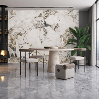 Dalle de porcelaine en pierre frittée Exotic Pandora Flower 1600x3200mm, texture marbre cristal multicolore, pour mur TV de villa de luxe