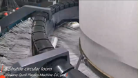 Sac tissé par pp à grande vitesse faisant le métier à tisser circulaire de machine
