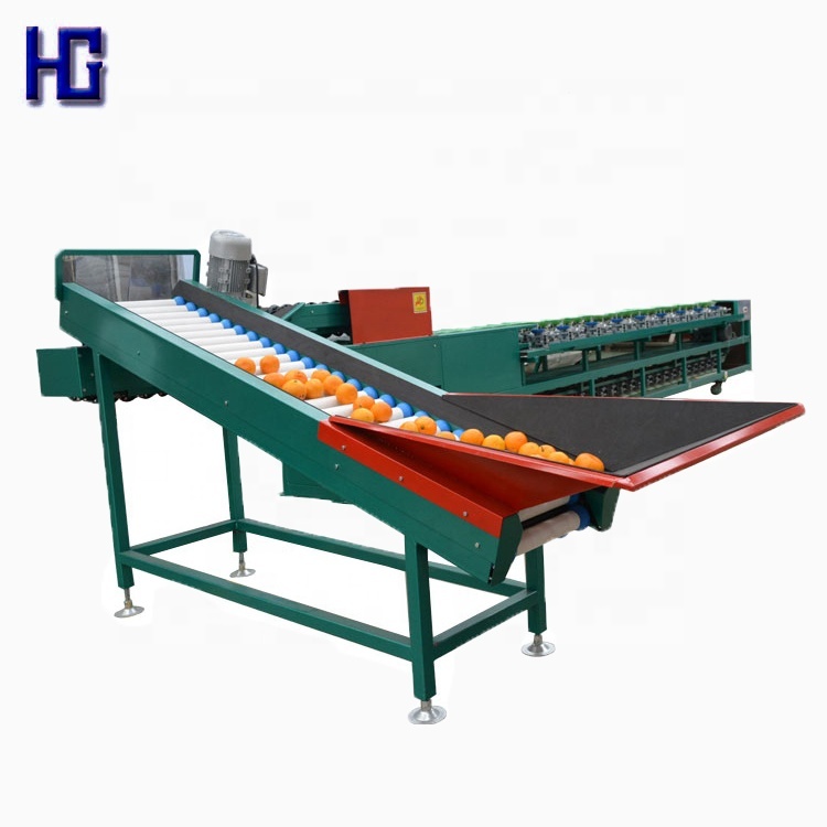 Cherry Tomato Wash Grade Working Line