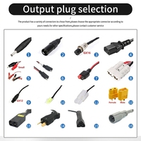 Chargeur de batterie étanche P67, entrée AC 100V à 240V, sortie DC 6V à 48V, matériau PC, protection contre les surtensions, prise EU/US, chargeur étanche