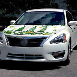 Housse de capot de voiture personnalisée 5x4 pieds, drapeaux pour la Saint-Patrick, événements sportifs, convient à la plupart des voitures et SUV, meilleur cadeau, housse de capot - Product Image 3