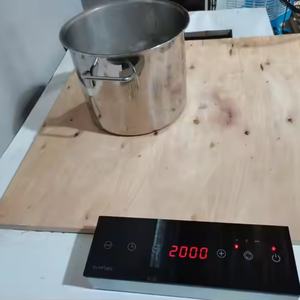 Table de cuisson à induction invisible à brûleur unique avec demi-pont - Product Image 2