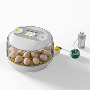 2026 कारखाने प्रत्यक्ष आपूर्ति नए डिजाइन 18 चिकन अंडे इनक्यूबेटर और 79 क्वेल अंडे इनक्यूबेटर डिजिटल तापमान नियंत्रण - Product Image 2