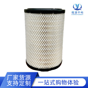 Elemento de Filtro de Aire P526678 AF25040 RS3520 para Vehículos de Ingeniería y Maquinaria de Construcción - Product Image 5