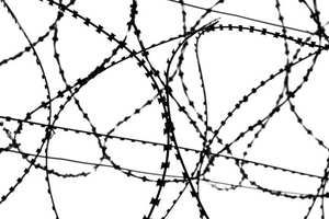 Clôture de fil de rasoir à prix d'usine pour les prisons Fil de rasoir concertina galvanisé avec rouleaux de fil de fer barbelé à lame galvanisée - Product Image 4