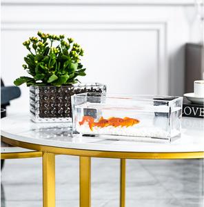 Nuovo vaso di vetro rettangolare decorazione trasparente desktop vaso idroponico contenitore soggiorno tavolo da pranzo decorazione bottiglia - Product Image 5