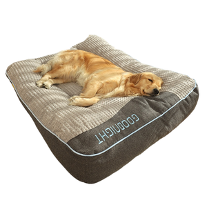 24th Anniversary Gift Ideas for Couples Who Love Pets & Smart Homes