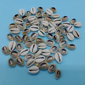 Sieraden Accessoires Top Cut Porceleinslak Conch Zeeschelp Mode Diy Oceaan Kettingen Shell - Product Image 2