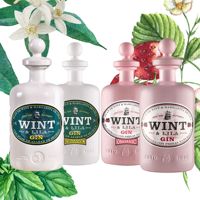 Ginebra con Sabor a Fresa WINT&LILA Hecha en España, Licor de Ginebra al por Mayor, Bebida Espirituosa de Frutas para Cócteles, Ginebra Rosa 700ml