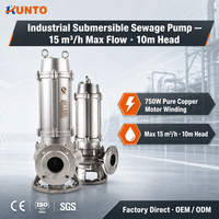 Bomba Sumergible para Aguas Residuales de Alta Presión SS304 SS316, 750W, Certificación CE ISO9001, Resistente a Ácidos, para Transferencia de Líquidos Químicos Corrosivos