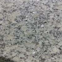 Personnalisez la dalle de granit gris naturel G602 pour le revêtement de sol du mur Pavé Dalle de bordure en pierre