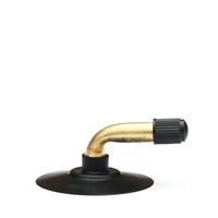 Valve de chambre à air pour moto électrique TR87 JS87