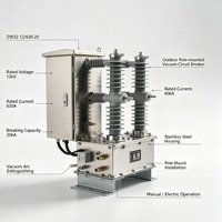 Disjoncteur à vide extérieur monté sur poteau ZW32-12FG/630-20, boîtier en acier inoxydable, commande électrique manuelle, 12 kV 50 Hz