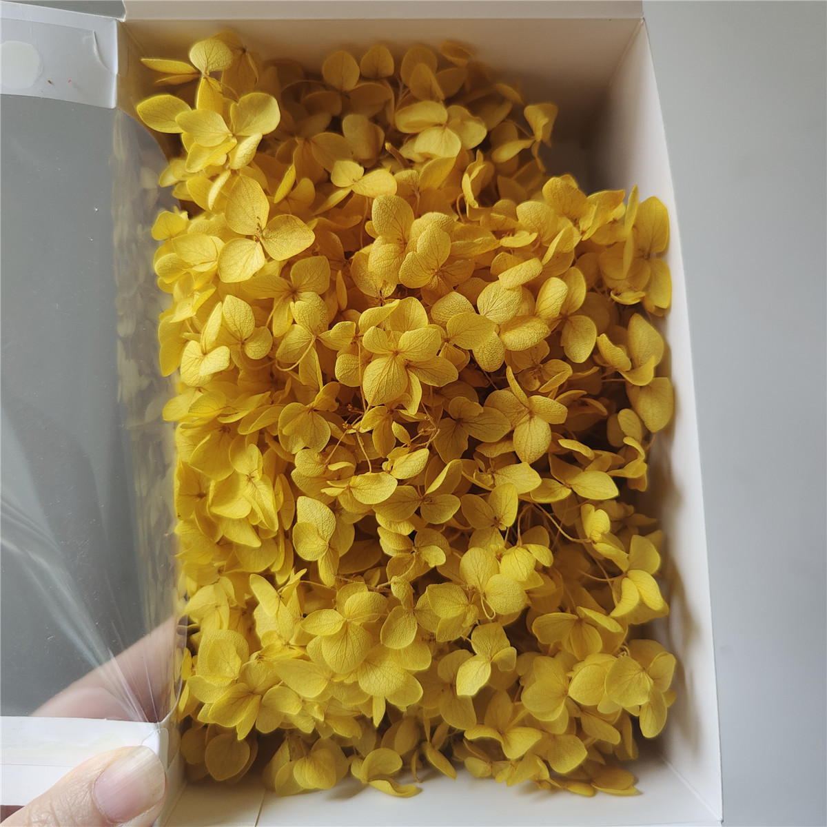 jaune foncé