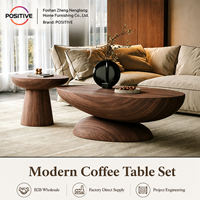 Ensemble de tables basses ovales modernes vintage, style nordique design, meubles créatifs pour salon, vente en gros
