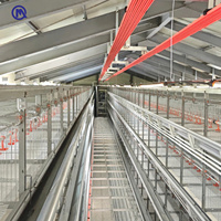 Solution Avicole Complète pour Ferme d'Élevage : Cage à Poules Pondeuses H Type 14000 Poules à 8 Niveaux avec Alimentation Automatique, pour une Réduction des Coûts de Main-d'œuvre