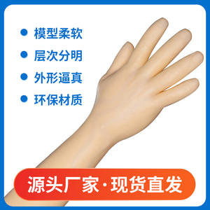 แบบจำลองแขนฝึกหัดการให้สารน้ำทางหลอดเลือดดำ Jike รุ่นแขนสั้น อุปกรณ์ช่วยสอนทางการแพทย์ สำหรับฝึกปฏิบัติ พร้อมสัมผัสการเจาะเสมือนจริง - Product Image 4