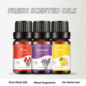 Huiles essentielles naturelles de <span class=keywords><strong>lavande</strong></span>, menthe, orange et bois de santal, parfum aromatique pour diffuseur d'ambiance, humidificateur, spa, utilisation quotidienne - Product Image 2