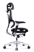 Chaise de bureau ergonomique en maille avec repose-pieds, appui-tête réglable et soutien lombaire, chaise d'ordinateur inclinable, pour l'étude