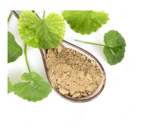 Poudre d'extrait de Gotu Kola Ingrédient botanique naturel à base de plantes Formulations traditionnelles de qualité alimentaire Produit nutraceutique - Product Image 4