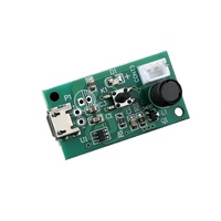 Module de nébulisation ultrasonique USB 5V Micro, plaque d'accessoires de montage standard, hydratation tablette, 100% neuf