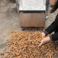 Machine de découpe de coquille de fruit à noix dure Machine de déchiquetage de coquille de noix de coco industrielle Coupeur de peau de coquille dure