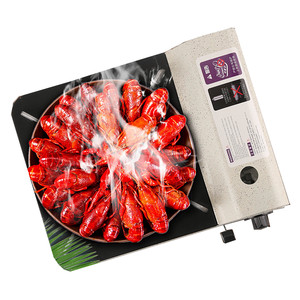 Cocina de Gas Portátil para Exteriores, de un Solo Quemador, con Protección de Presión, Operación Manual, Superficie de Aluminio, Encendido Electrónico, para Senderismo - Product Image 1