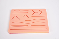 Kit d'entraînement professionnel aux sutures médicales, ensemble d'instruments chirurgicaux pour les écoles de soins infirmiers et les laboratoires