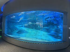 Acryl <span class=keywords><strong>Aquarium</strong></span> <span class=keywords><strong>Aquarium</strong></span> Acryl <span class=keywords><strong>Aquarium</strong></span> Restaurant Goedkope Acryl Aquaria - Product Image 3