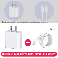 Set Pengisi Daya Cepat dan Kabel Data Dual PD20W US/EU Tipe-C Baru dengan Material Gan untuk Ponsel/Seri 15/16/17