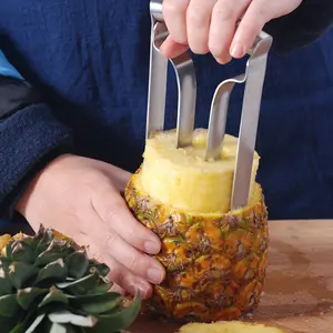 Edelstahl Ananas Cutter Corer, Schäler Obsts ch neider Corer Remover Küchen werkzeug
