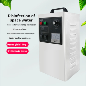 Vendita calda piscina commerciale 10g generatore di ozono purificatore d'aria 10G trattamento dell'aria - Product Image 4