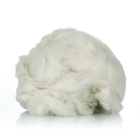 Hochwertige Gekämmte 100% Wolle Kaschmirfaser Naturweiß Braun Mongolische Enthaarte Kaschmirwolle Tops