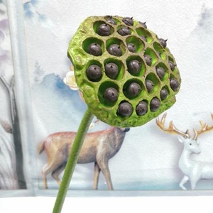 E07348 Parco Decorazione di Cerimonia Nuziale 3D Plastica Fiore di Loto Faux Pianta Giglio di Acqua di Loto Artificiale <span class=keywords><strong>Fiori</strong></span> per <span class=keywords><strong>le</strong></span> Decorazioni del Giardino - Product Image 5