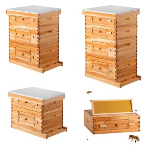 Cera de abejas <span class=keywords><strong>colmena</strong></span> para abejas 3 capas 10 Marco madera miel abeja <span class=keywords><strong>colmena</strong></span> caja kit apicultura equipo Apicultura - Product Image 1