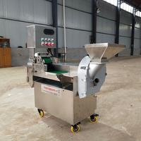 Fruit En Groente Verwerking Machine/Multifunctionele Dubbele Hoofd Fruit En Groente Chopper/Snijder/Snijmachine
