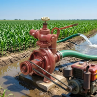 Pompe d'irrigation à forte aspiration et grand débit, prix de gros, diverses garnitures, mécanisme simple, pompe à eau manuelle pour terres agricoles