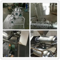 Machine voor het pellen, ontpitten en pulperen van drakenvruchten / Fruitpulpmachine / Mango puree-extractor