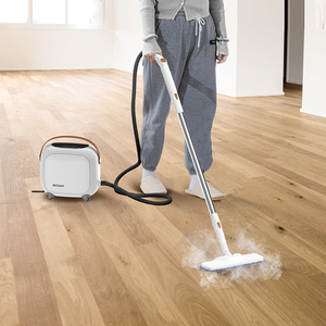 เครื่องทำความสะอาดไอน้ำแบบมือถือ MKS 120V พร้อมแรงดันไอน้ำ 4 ระดับ ใช้งานกลางแจ้งได้ พกพาสะดวก กำลังไฟ 1500 วัตต์ - Product Image 1