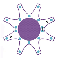 Plateforme de fitness aquatique flottante pour SUP, tapis aquatique, île de yoga SUP, île de yoga SUP gonflable