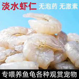 Camarones Congelados para Alimento de Tortugas 500g, Alimento para Peces de Agua Dulce, Forma Redondeada, Envío Directo de Fábrica - Product Image 2