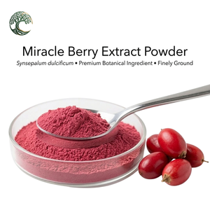 Extrait naturel de baie miracle <span class=keywords><strong>en</strong></span> <span class=keywords><strong>poudre</strong></span>, <span class=keywords><strong>poudre</strong></span> de fruit mystérieux Miraculin, qualité alimentaire 99%, extraction par solvant - Product Image 5