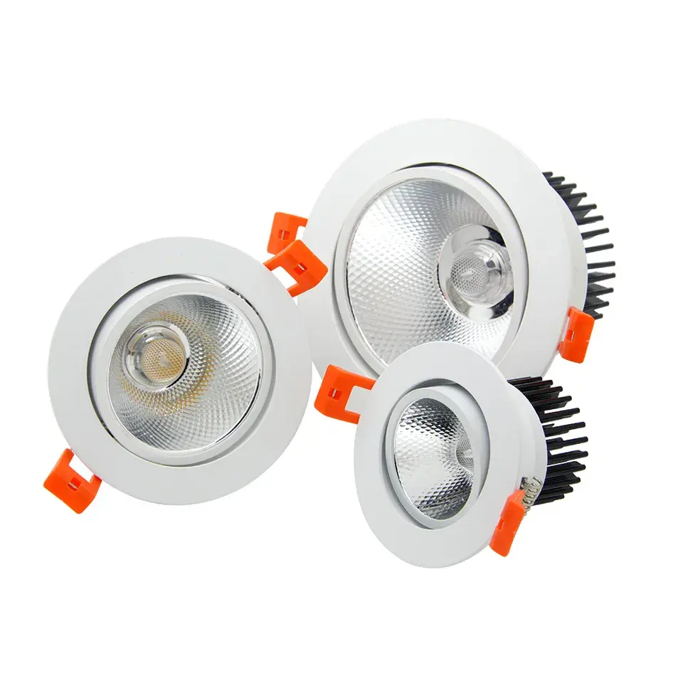 0-10V Dali kısılabilir tavan spot 3W 5W 10W 15W 20W 30W 40W gömme LED ampul Downlight ayarlamak