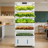 Système d'hydroponie intelligent à commande à distance, armoire de culture automatique pour plantes d'intérieur, planteur hydroponique pour la laitue et les herbes