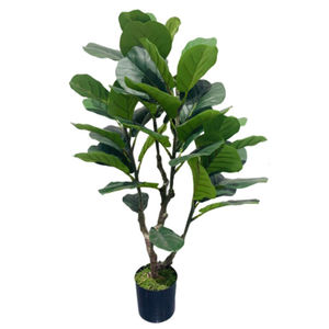 Offre Spéciale 170cm Style nordique figue Ficus Lyrata Pandurata Hance arbre artificiel violon feuille figue plante litière arbres cadeau fête - Product Image 5