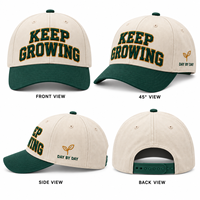 Casquettes de baseball personnalisées avec logo brodé pour événements promotionnels, cadeaux d'entreprise, équipement de travail pour équipes, marchandises, commande en gros