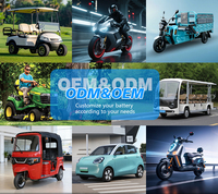 Tuk-tuk électrique avec batterie LiFePO4 72V 100Ah, certifié CE/RoHS, directement de l'usine, ODM personnalisé, autonomie de 6000 cycles